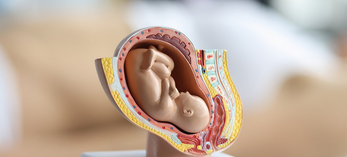 Monitoring Fetal Movement